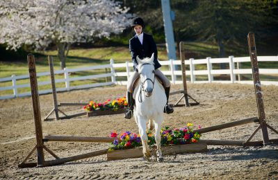girl sitting on a horse