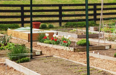 Community Garden