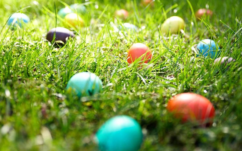 alpharetta easter egg hunt