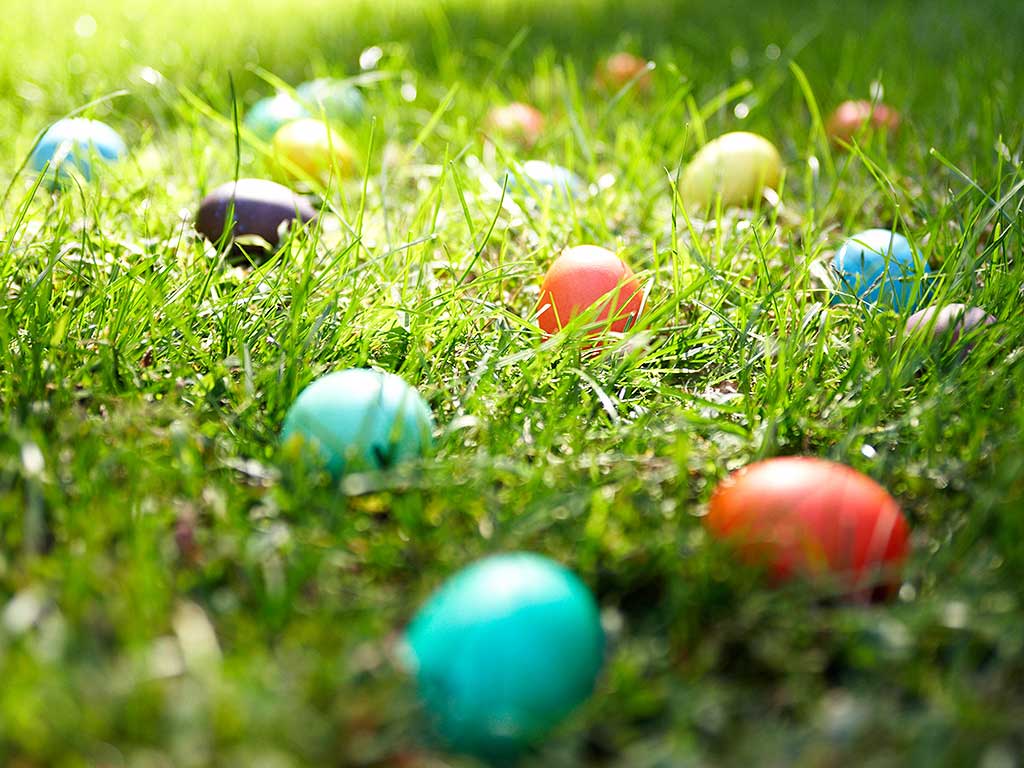 alpharetta easter egg hunt