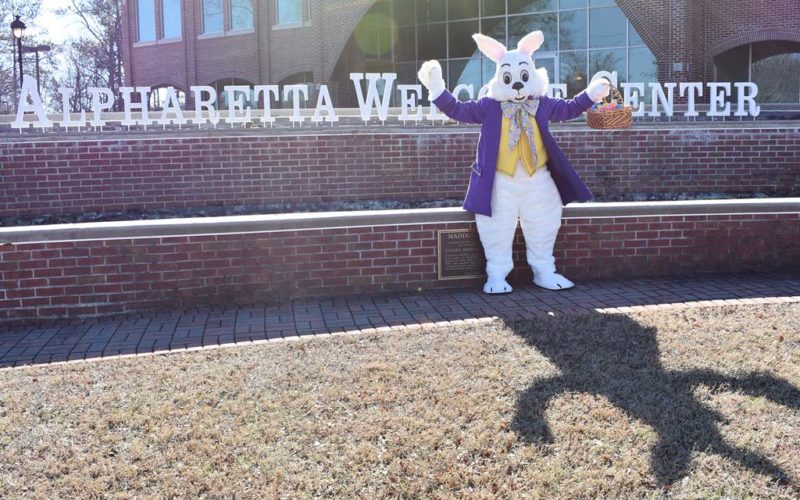 free photos with bunny