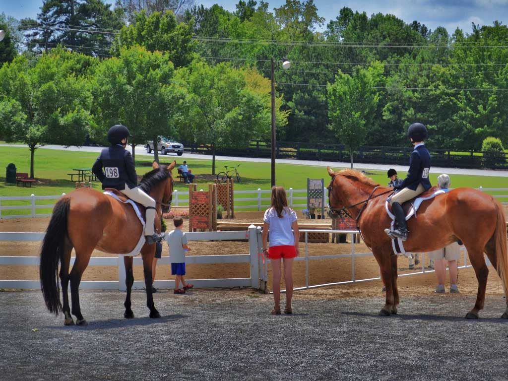 horse show