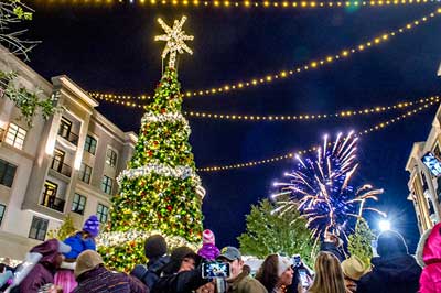 a huge lit up christmas tree in Avalon