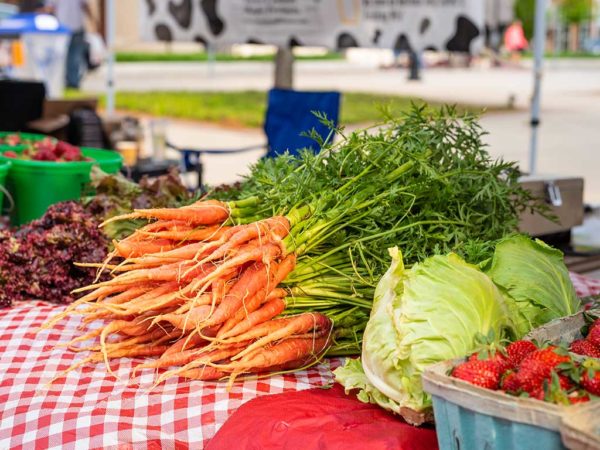 vegetables at alpharetta farmers market