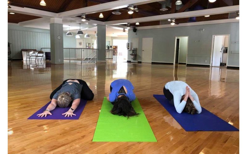 women in yoga poses