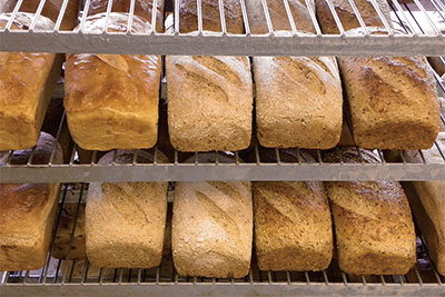 row of loaves of bread