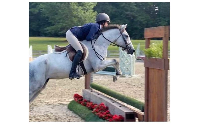 horse jumping with rider