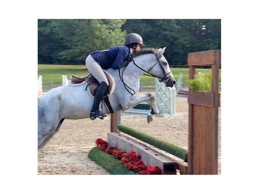 horse jumping with rider