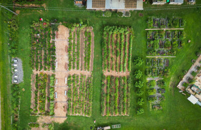 farm