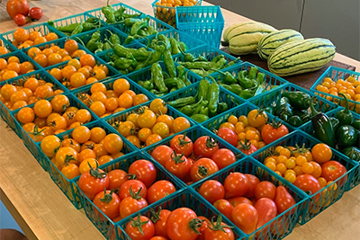 baskets of small tomatoes