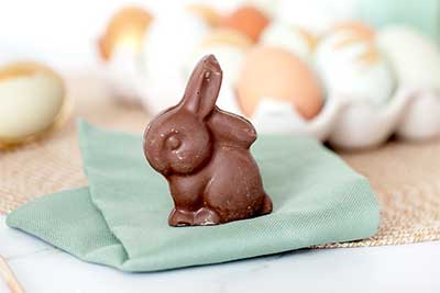 chocolate easter bunny