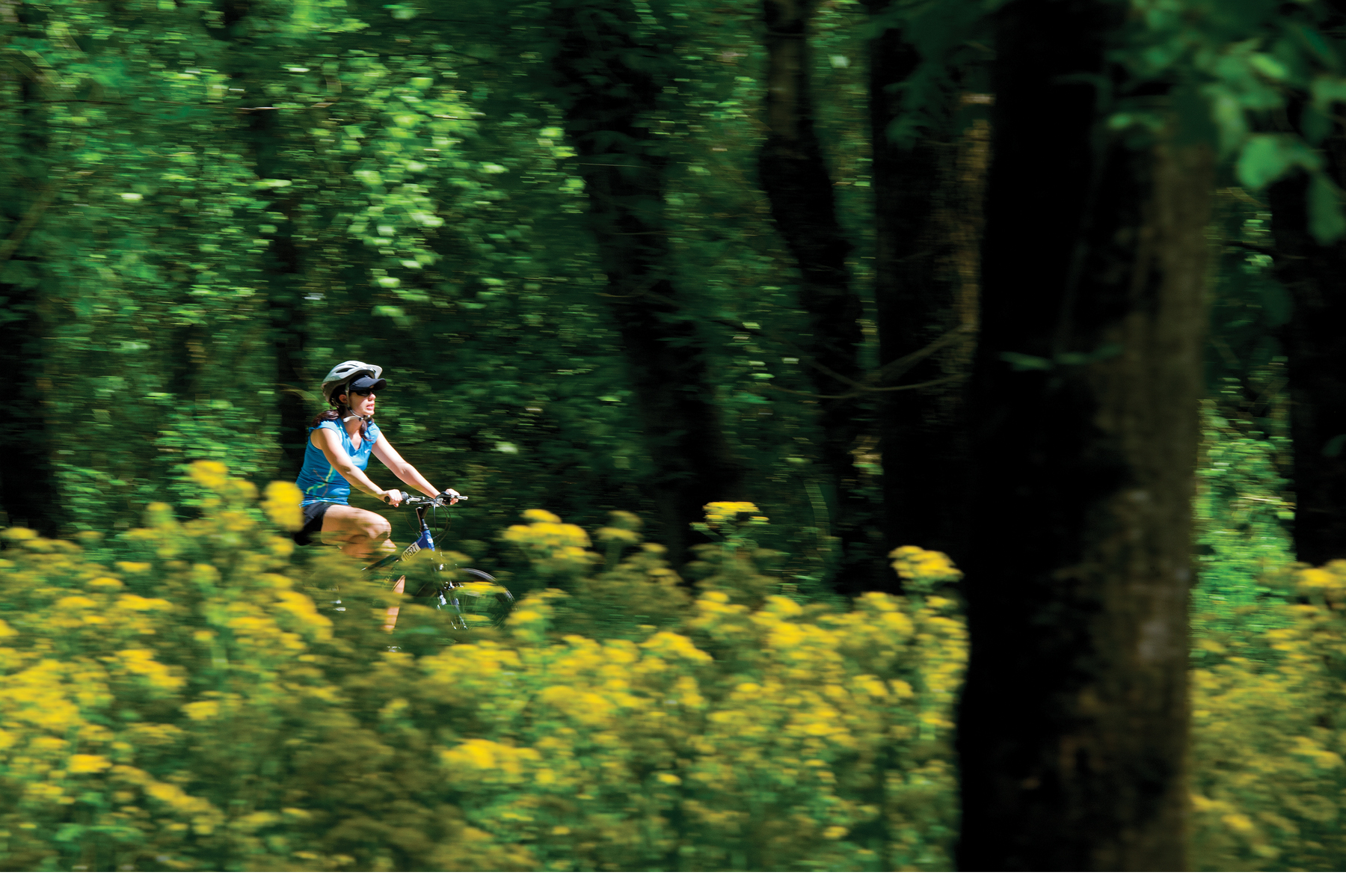 Be a Two-Wheel Tourist in Alpharetta, GA! | Awesome Alpharetta 