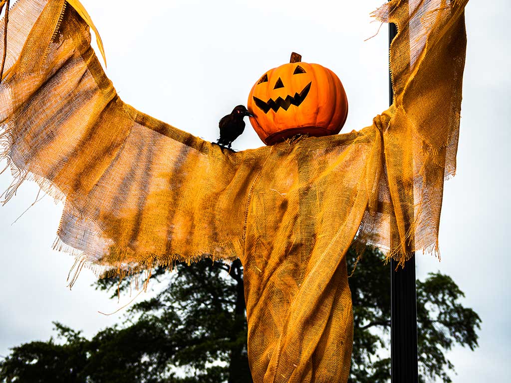 scarecrow pumpkin