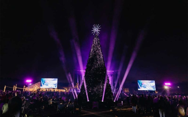 tree with lights