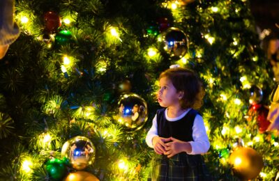 Little girl looking at tree