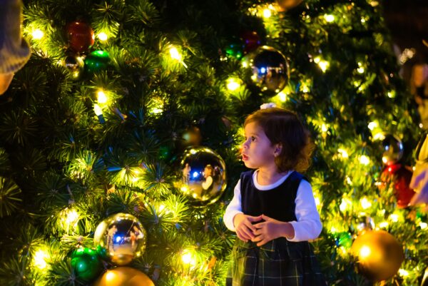 Little girl looking at tree