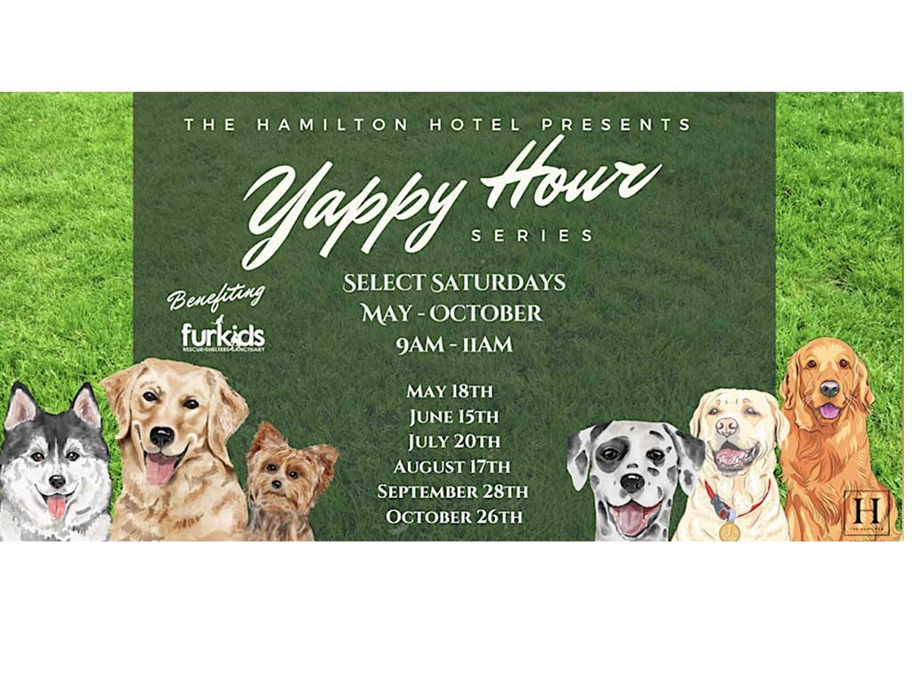 yappy_hour2