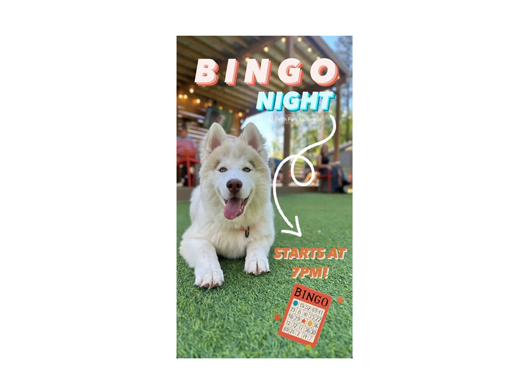 Pop Bingo Master App Trends 2024 Pop Bingo Master Revenue, Downloads