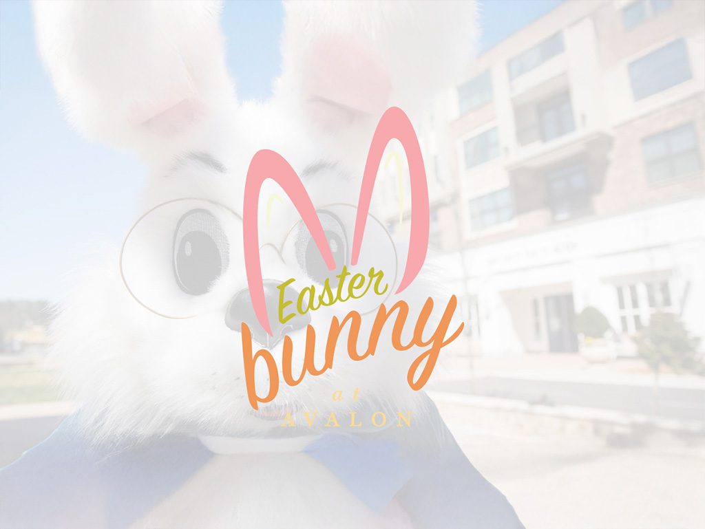 easter-bunny-header
