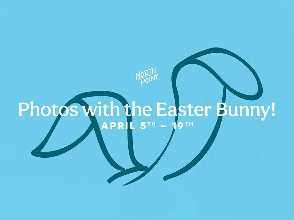 north-point-bunny