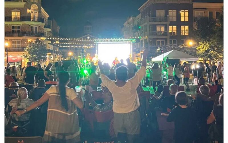 people at outdoor concert