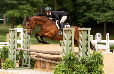 equestrian jumping